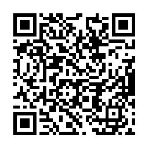 所以……你和我们之间……并没有非打不可的理由二维码生成