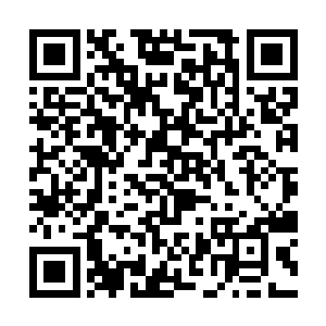 所以……听说你是这个游乐场里面资格最老的一个人二维码生成