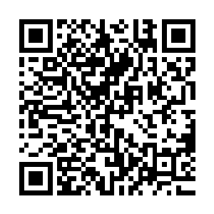 所以……在发现自己居然这个指挥官居然有着生命危险的时候二维码生成