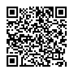 所以……这个辉哥应该和那几个小太妹关系匪浅二维码生成