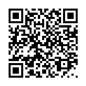 所以一听到洪家可能是莫天机的后代二维码生成