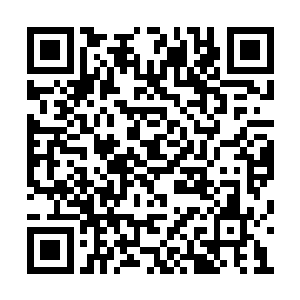 所以一得到好运鸟后木萦便把丹药给它喂了下去二维码生成