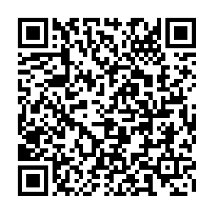 所以一般有点经验的修仙者都是直接去到中级区域或者高级区域小心采集二维码生成