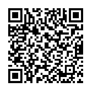 所以丁长生也没有打听徐娇娇的同事是谁是干什么的二维码生成