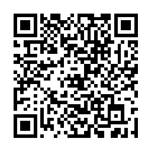 所以中单大虫子在国内赛场上最少还得驰骋半个月二维码生成