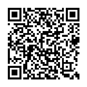 所以也不需要在良心仁慈以及罪行之间权衡纠结二维码生成