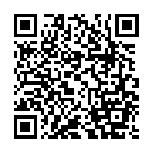 所以也就丁蕴和丁畅这个孙女和孙子可能还有些许的可能性二维码生成