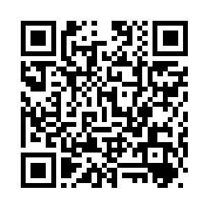 所以也是钟杨颖和苏芷妍念念不忘二维码生成