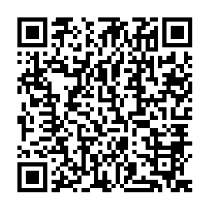 所以也没有注意到之前那女人带着的白衣小僵尸蹦蹦跳跳地下楼了来二维码生成