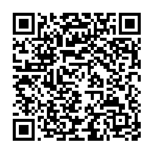 所以今晚零点过后会更新一章冲榜~夜猫子读者别忘了点击投票哈~~二维码生成