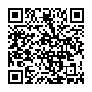 所以他一碰到了营地里给备好的床铺就倒在上面二维码生成