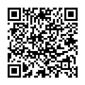所以他也不知道这段时期正常的原住民术士是怎么度过的二维码生成