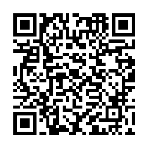 所以他们兄弟二人此时并不知道许紫烟坐在大殿之内二维码生成