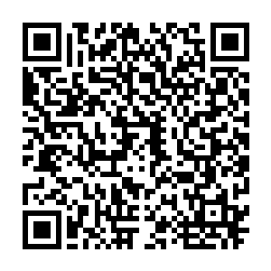 所以他们在路上花费的时间也比那个仙兽记忆中所需的时间缩短了至少一半以上二维码生成