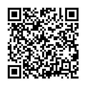 所以他们对于仙主宫内的宝藏也没有太多的想法二维码生成