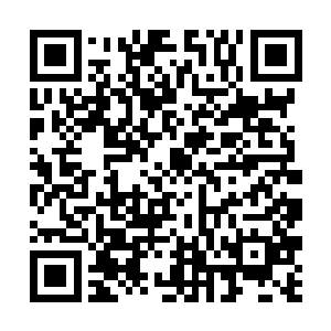 所以他们就只有通过曾经跟梓箐有过接触的玩家入手二维码生成