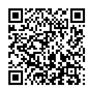 所以他们才会不顾规则派出大规模的天界之人降落人间二维码生成