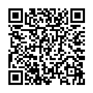所以他们才会想出用那些黄羊兽引食尸鹫的办法二维码生成