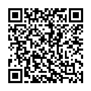 所以他只需要承担一个院长回护学生应该承担的后果二维码生成