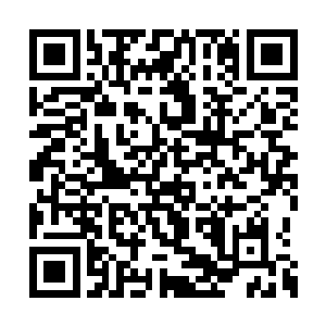 所以他就把剩下的最后一点点元力都用来飞行了二维码生成