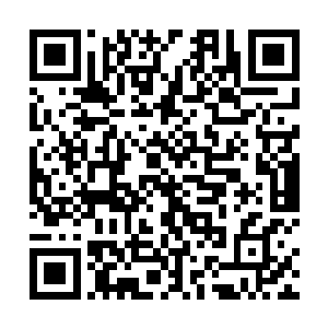 所以他希望云顶仙宫能收留我们最后这一百个核心子弟二维码生成