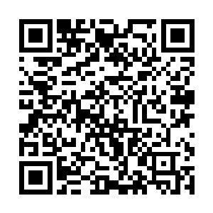 所以他很清楚知道视力最好的禽类的视觉是怎么样的二维码生成