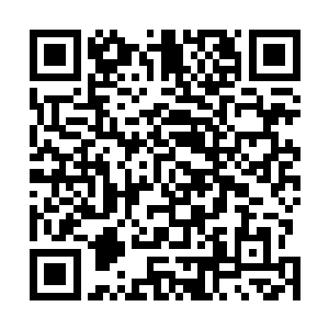 所以他必须全身心投入才能保证自己不会耽误剧组的进度二维码生成