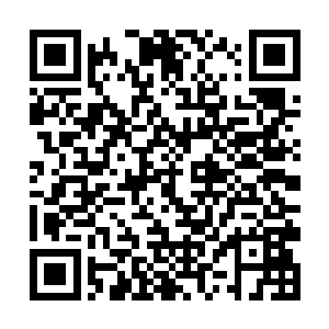 所以他是坚决不愿意和正规战斗机驾驶员打格斗战的二维码生成