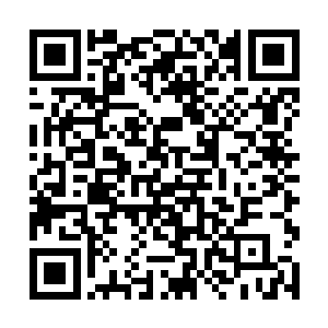所以他现在听到廖大本开口闭口说毒龙会是黑帮组织二维码生成