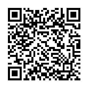 所以他现在是恨不得找个机会好好的讨好一下丁二狗二维码生成