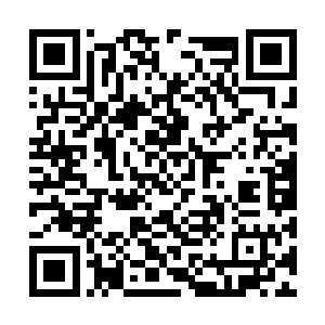 所以他用出那一招只不过是为了拖延一些时间而已二维码生成