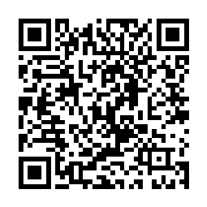 所以他直接忽略了在那一大堆灵石旁边还有一小堆灵石二维码生成