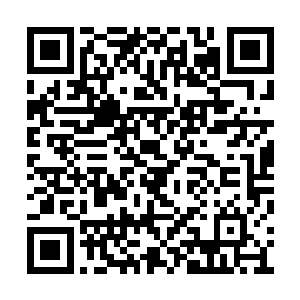 所以他看向剩下来那人的眼神就带着一股杀气了二维码生成