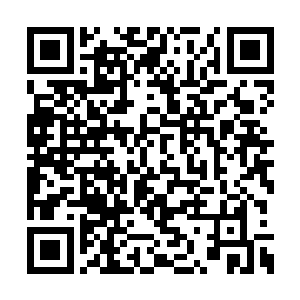 所以他这几日大部分时间都跟这俩畜生待在一起二维码生成