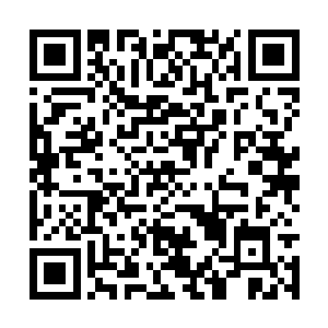 所以任何一块仙石出现都会有各方势力以高价收购二维码生成