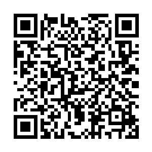 所以任何知道人面鲲鹏的智慧种族都不会轻易招惹他们二维码生成