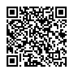 所以你一回京就去你四叔府上就是为了让他处理这事二维码生成