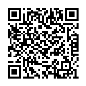 所以你们也应该在之前的战斗中出了不少的力吧二维码生成