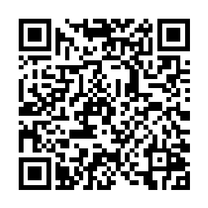 所以你只能在我的帮助下进入九星罗布殿救出我姐姐二维码生成