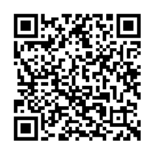 所以俩人早上起来的时候都顶着个大大的黑眼圈二维码生成