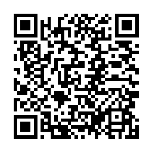 所以其实马图伊迪和巴里的作用已经开始有重叠的倾向了二维码生成