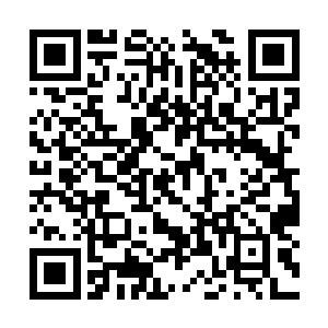 所以其身体表面的五彩光晕根本没来得及将之扑灭二维码生成