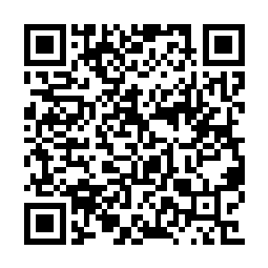 所以再一次见到建筑群的时候就没有那么震撼了二维码生成