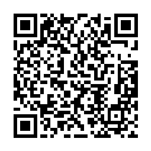 所以冥冥之中有一股无形的力量控制着修士的数量二维码生成