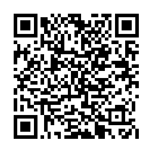 所以几个人采取了飞行的方式寻找下一个庇护所二维码生成