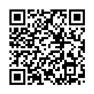 所以刚才洛天子捏着她没轻没重的二维码生成