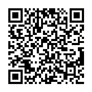所以副驾驶的警察有点颤颤巍巍的只是把枪身探出来二维码生成