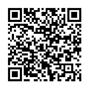 所以北方的政府军才会拒不执行救援莱塔城的命令二维码生成