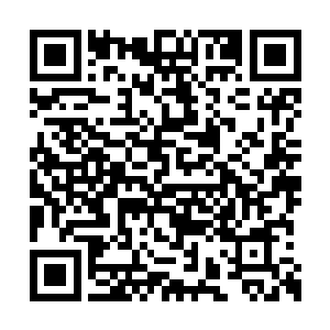 所以卫蘅特地挑了一袭妃红地绣蝶戏牡丹泥金裙二维码生成