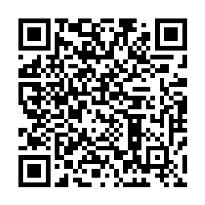 所以即使硬抗同级别强度的一拳体内也并没有出现什么伤势二维码生成
